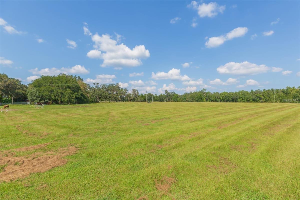 16225 BELLAMY BROTHERS BOULEVARD — photo 55 of 77