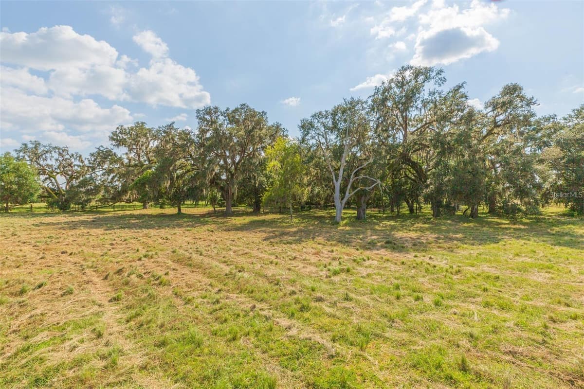 16225 BELLAMY BROTHERS BOULEVARD — photo 47 of 77