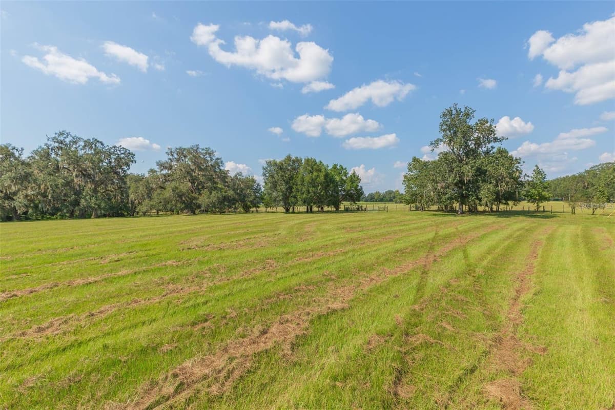 16225 BELLAMY BROTHERS BOULEVARD — photo 45 of 77