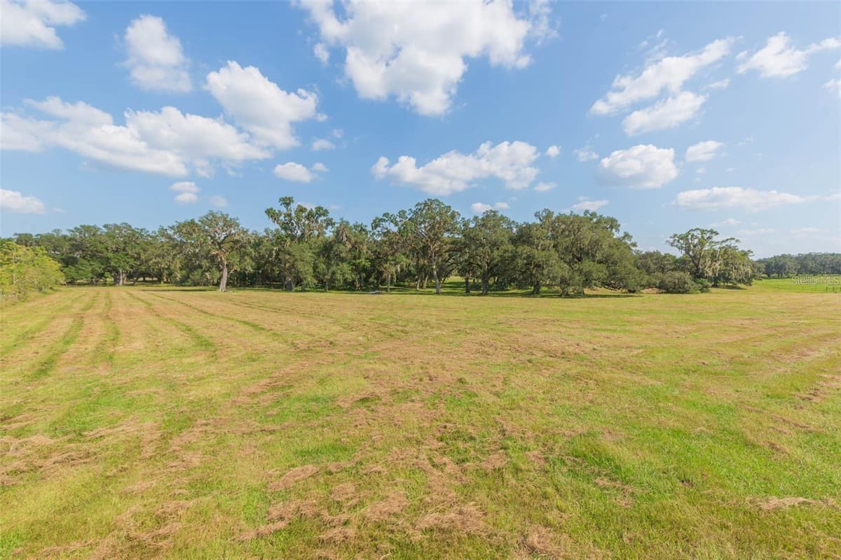 16225 BELLAMY BROTHERS BOULEVARD — photo 60 of 77
