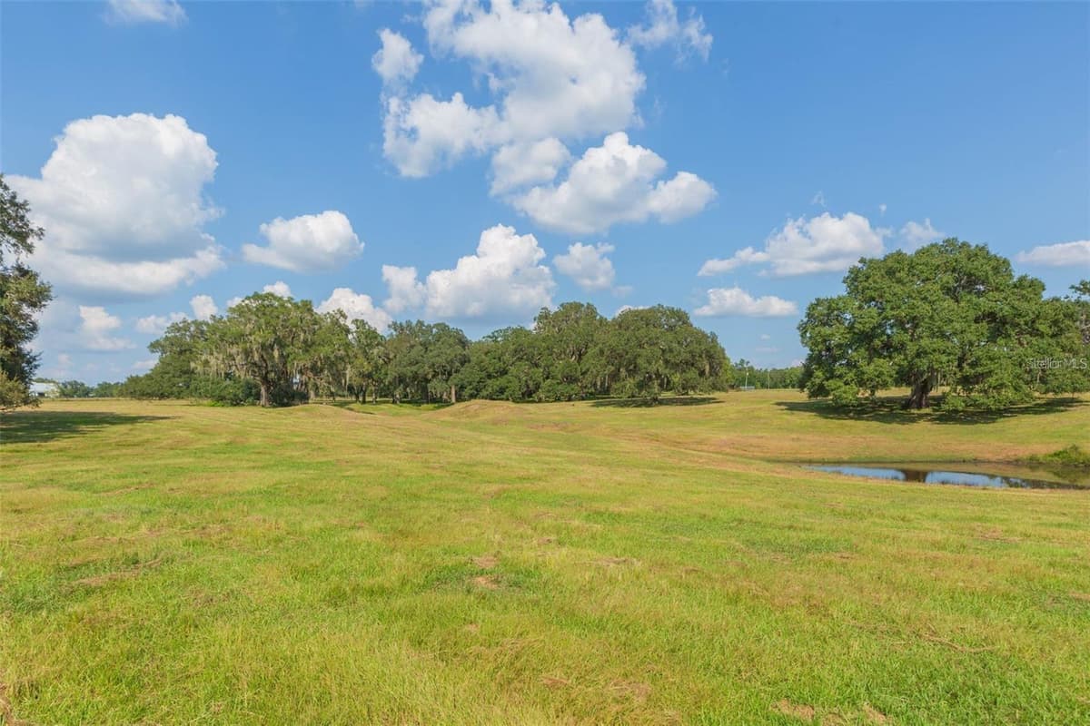16225 BELLAMY BROTHERS BOULEVARD — photo 64 of 77