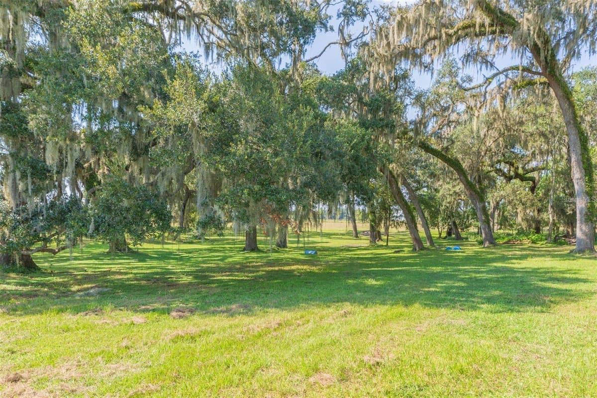 16225 BELLAMY BROTHERS BOULEVARD — photo 42 of 77