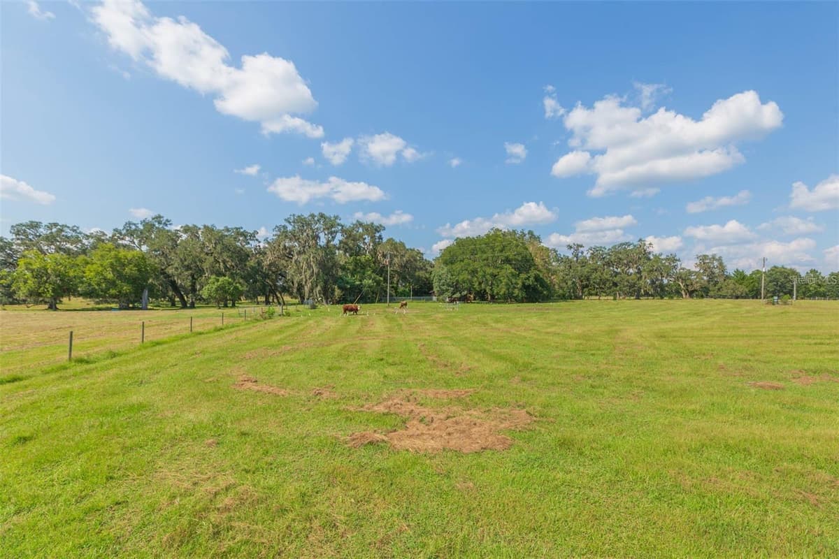 16225 BELLAMY BROTHERS BOULEVARD — photo 50 of 77