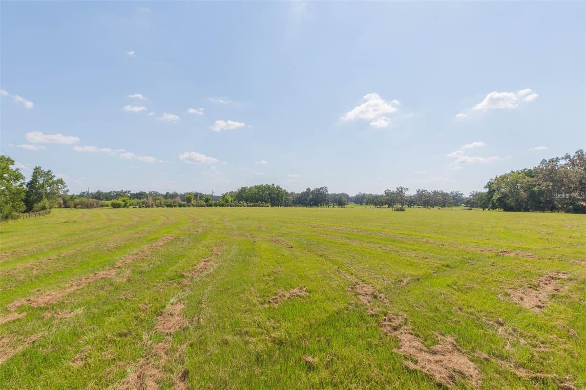 16225 BELLAMY BROTHERS BOULEVARD — photo 48 of 77