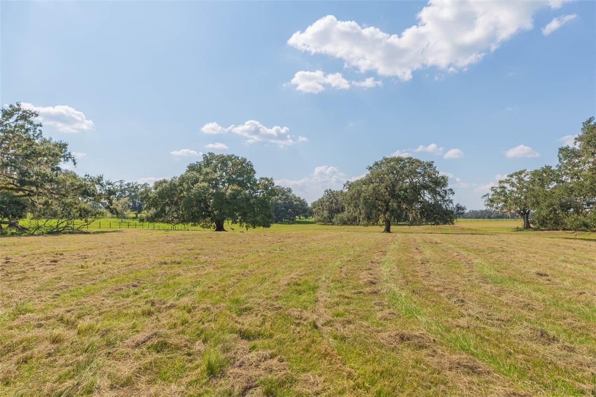 16225 BELLAMY BROTHERS BOULEVARD — photo 57 of 77
