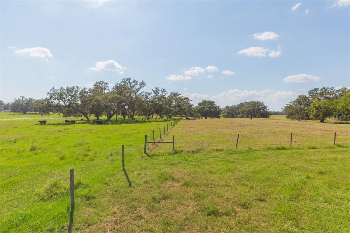 16225 BELLAMY BROTHERS BOULEVARD — photo 56 of 77