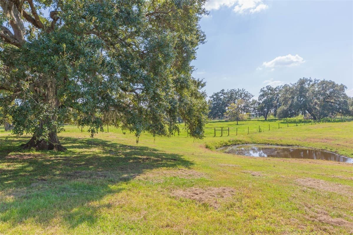 16225 BELLAMY BROTHERS BOULEVARD — photo 43 of 77