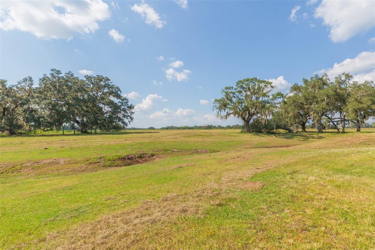 16225 BELLAMY BROTHERS BOULEVARD — photo 58 of 77
