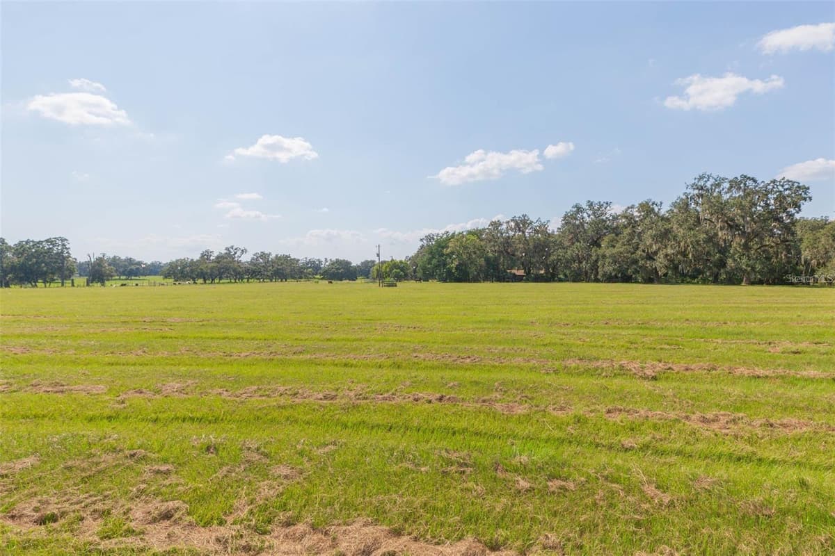 16225 BELLAMY BROTHERS BOULEVARD — photo 49 of 77
