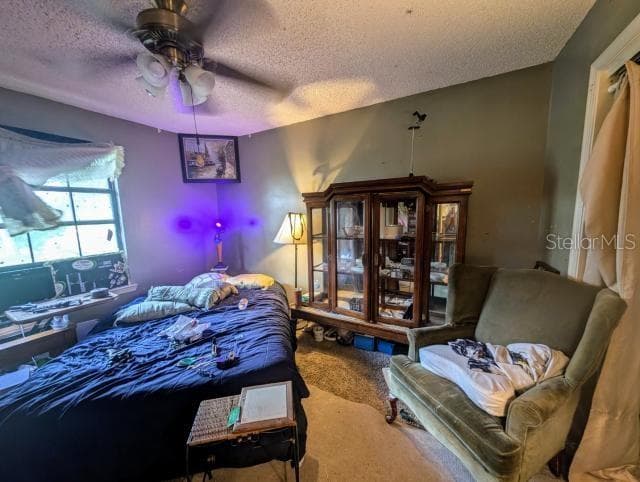 4345 OLD COLONY ROAD — photo 53 of 54