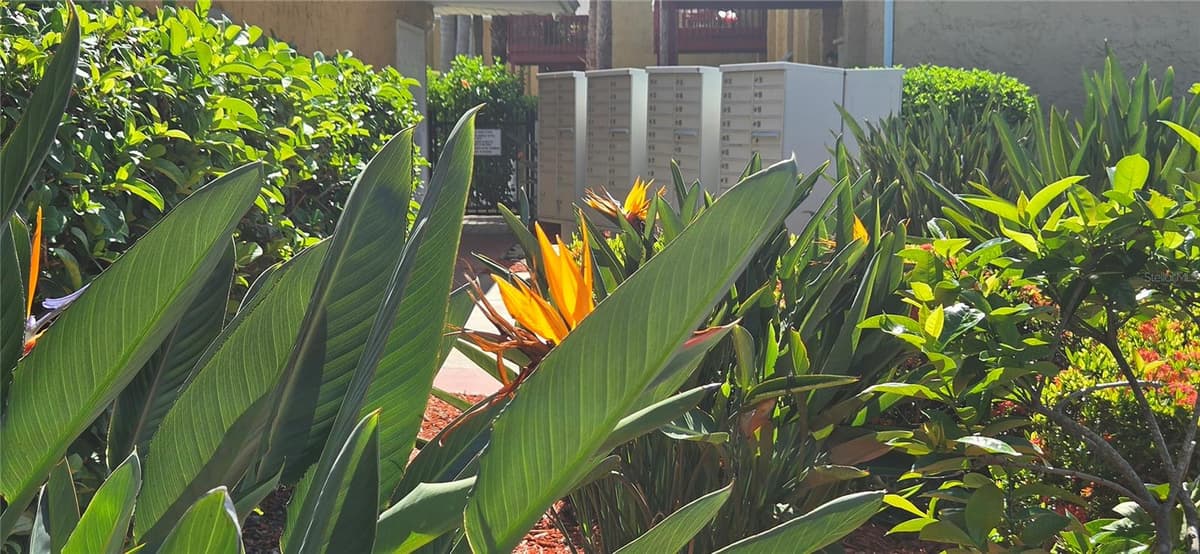 1927 TOUCAN WAY — photo 22 of 28