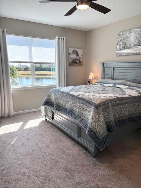 18498 COASTAL SHORE TERRACE — photo 23 of 34