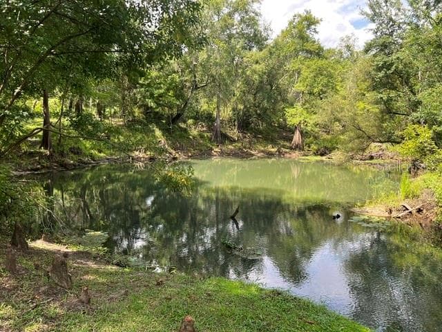 39849 STATE ROAD 575 — photo 4 of 13