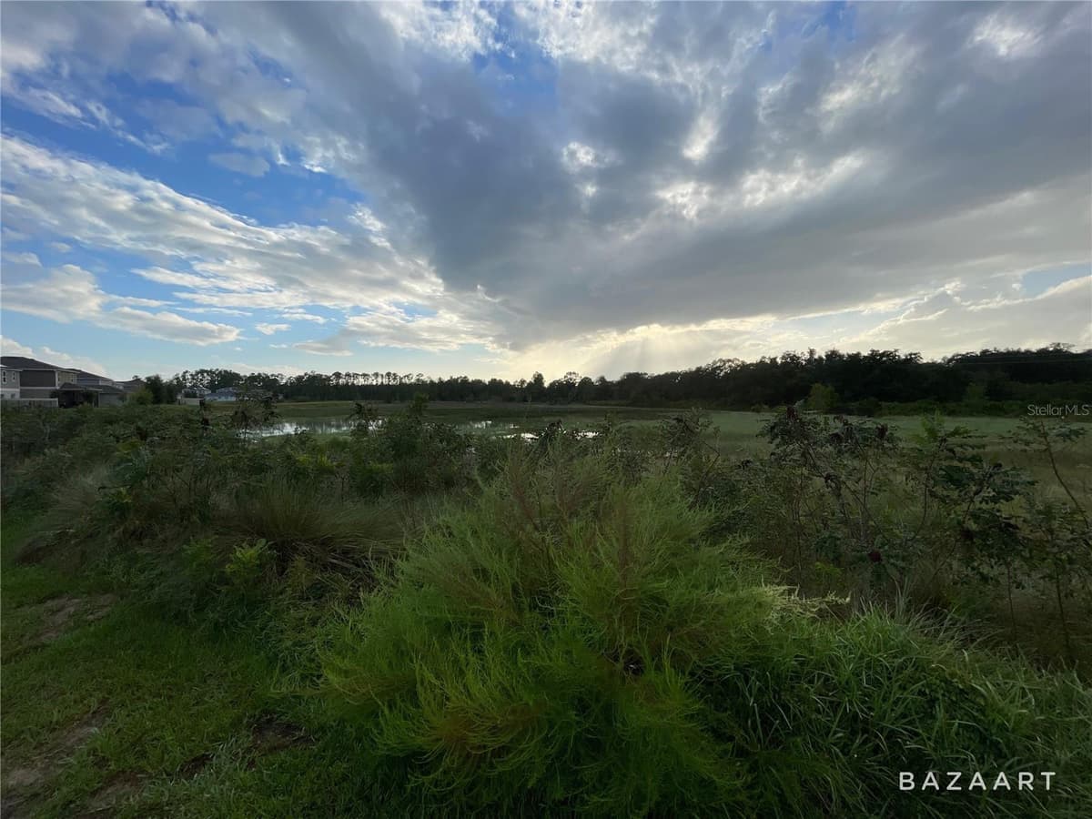 1441 SAWGRASS HAMMOCK LANE — photo 5 of 5