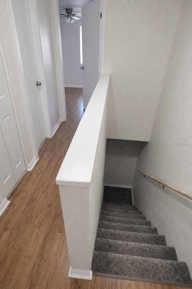 7516 NEEDLE LEAF PLACE — photo 9 of 20
