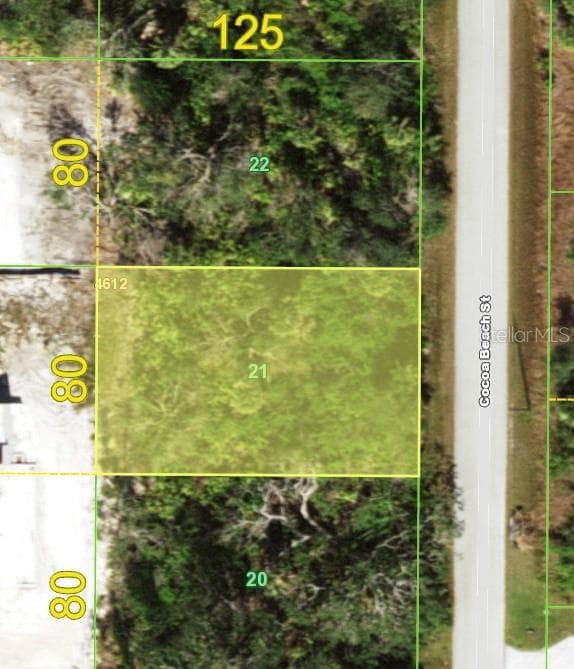 10209 COCOA BEACH STREET — photo 52 of 52
