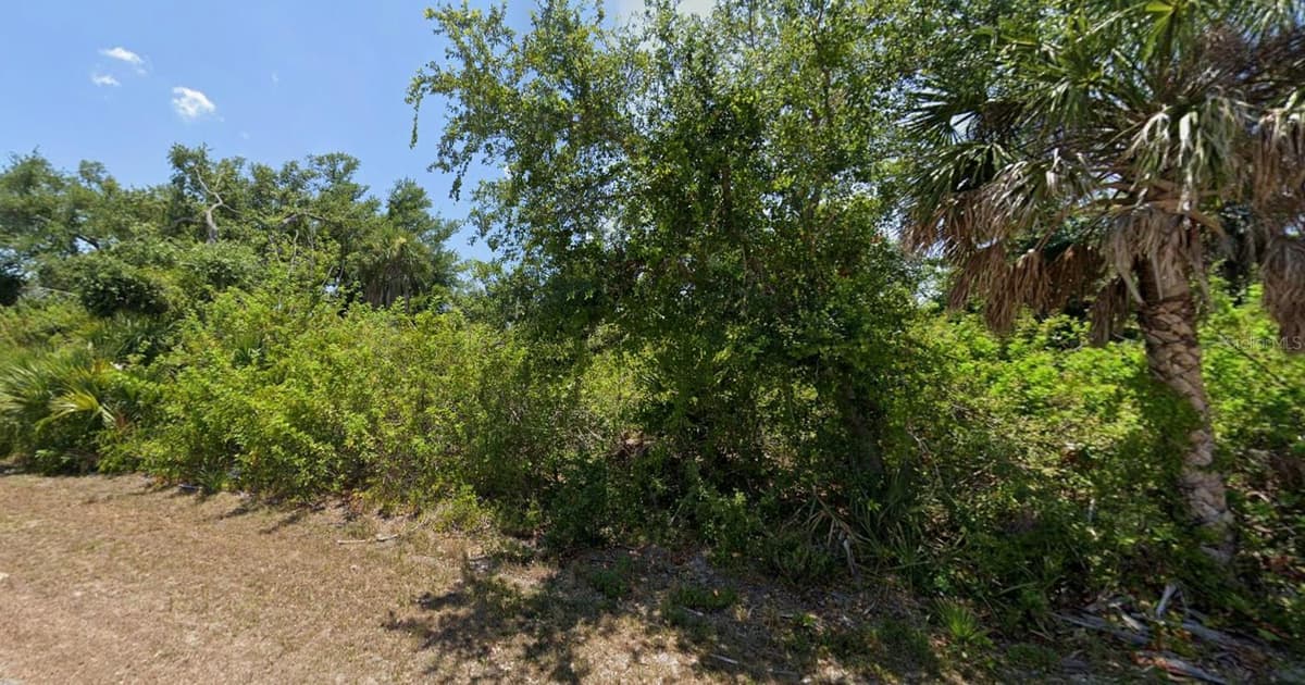 10209 COCOA BEACH STREET — photo 49 of 52