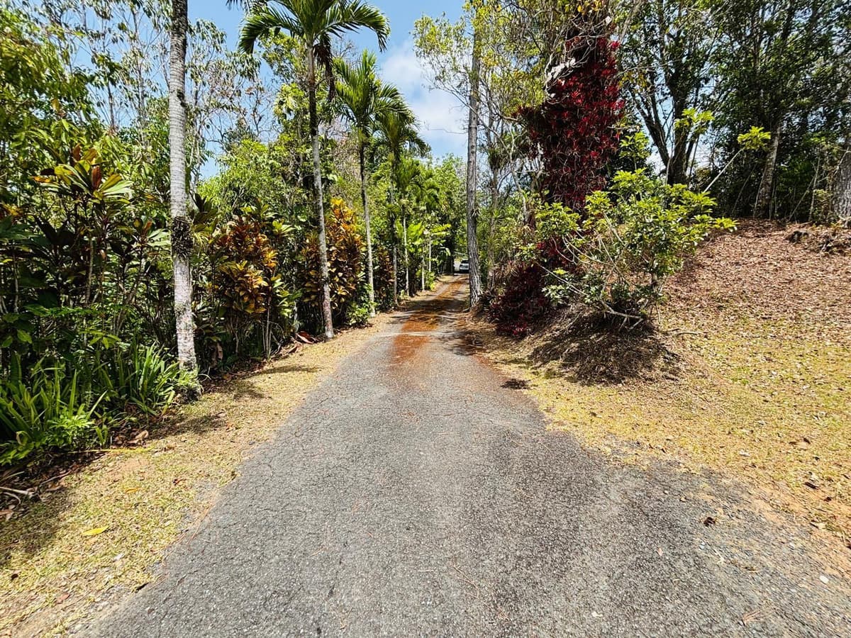 CARR 1 RUTA 715KM 3.5 LOTE 3 — photo 43 of 56