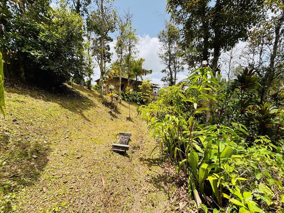 CARR 1 RUTA 715KM 3.5 LOTE 3 — photo 45 of 56