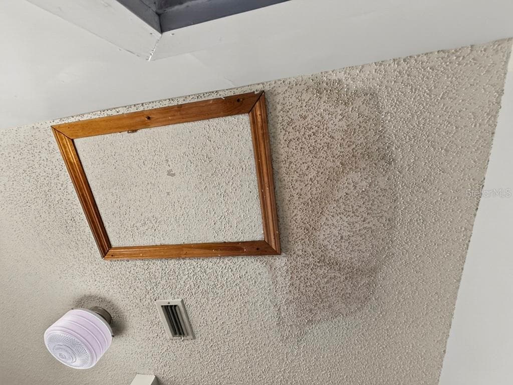 137 BLANCO STREET — photo 31 of 58