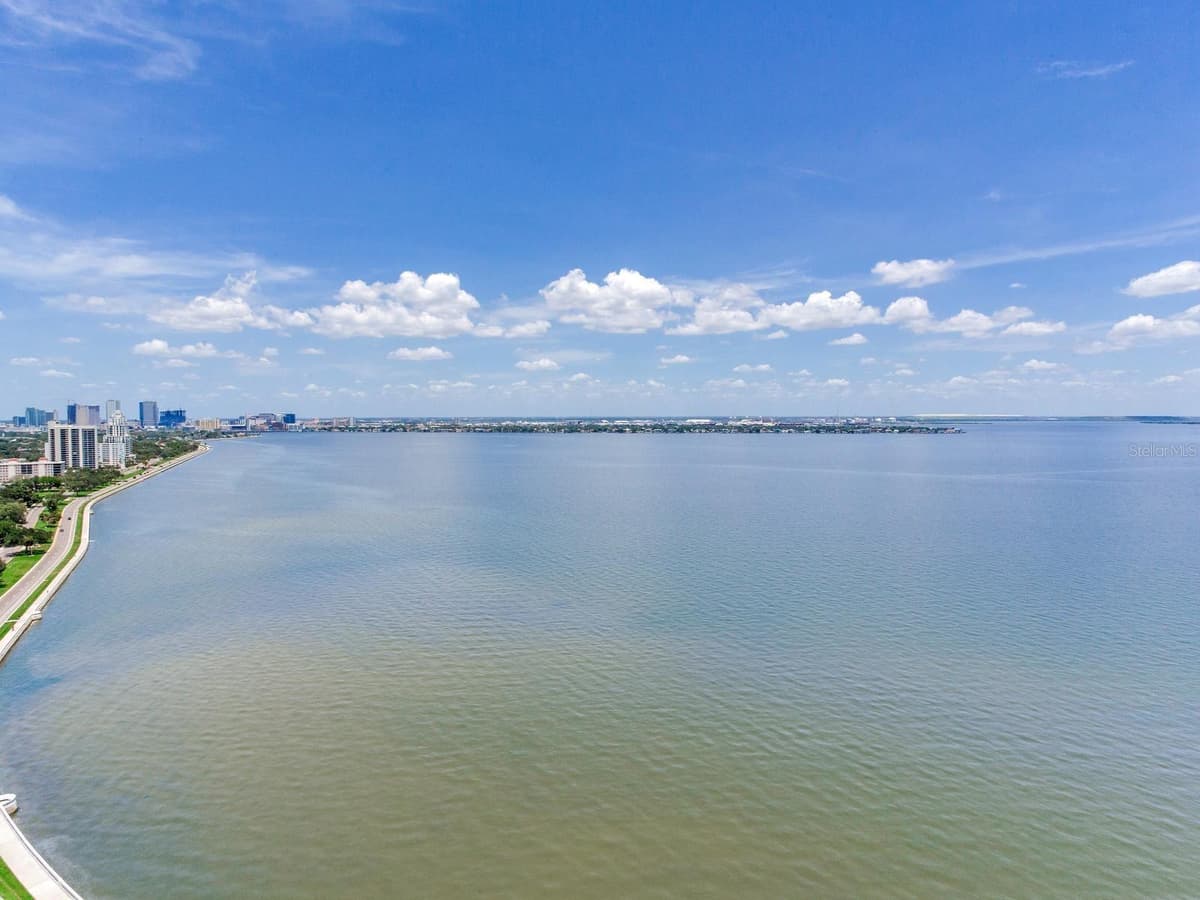 3101 BAYSHORE BOULEVARD — photo 34 of 57