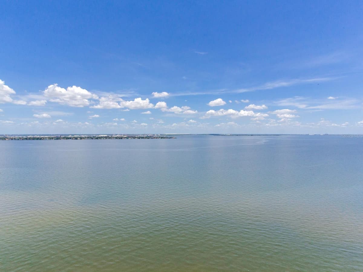3101 BAYSHORE BOULEVARD — photo 36 of 57
