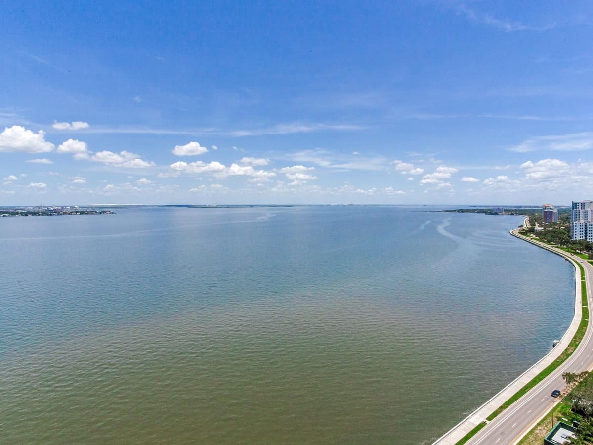3101 BAYSHORE BOULEVARD — photo 35 of 57