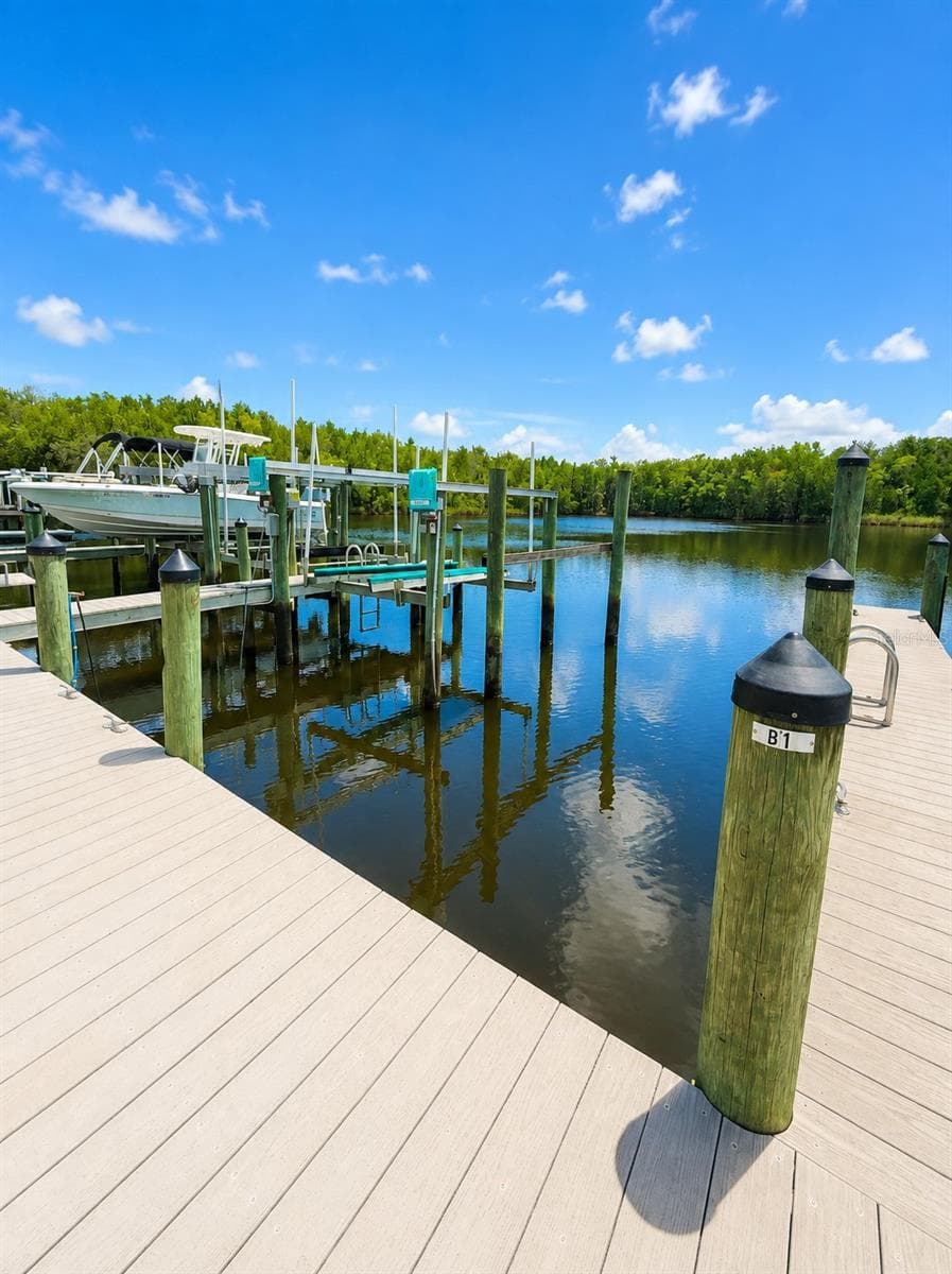 11122 COVE HARBOR DRIVE — photo 4 of 64