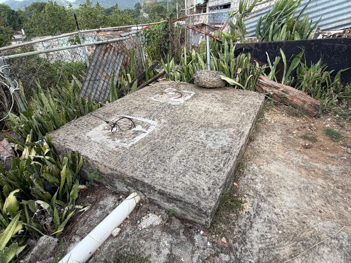 Carr. 10 BO. HATO VIEJO — photo 10 of 12
