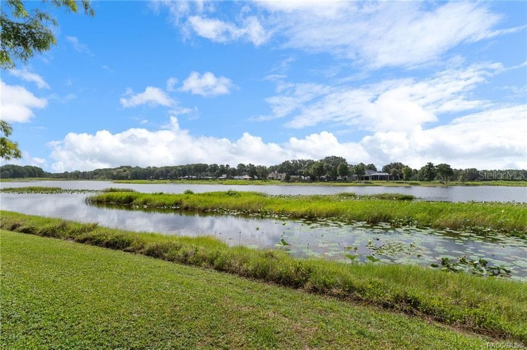 8004 HALCYON ISLE COURT — photo 48 of 50