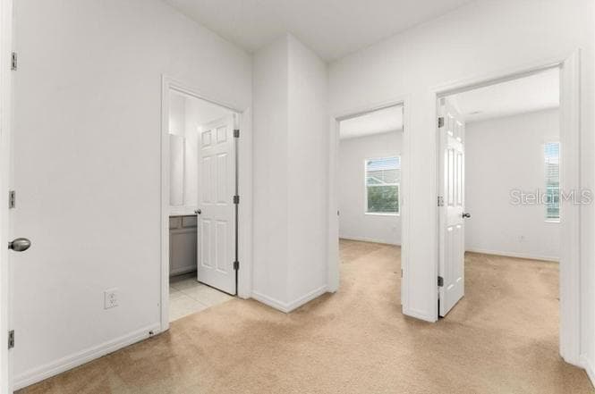 8013 BASILICA LANE — photo 19 of 32