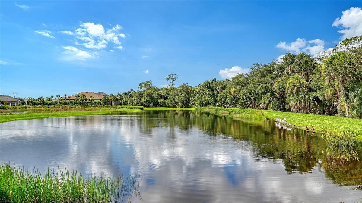 9483 TEQUILA SUNRISE DRIVE — photo 41 of 59