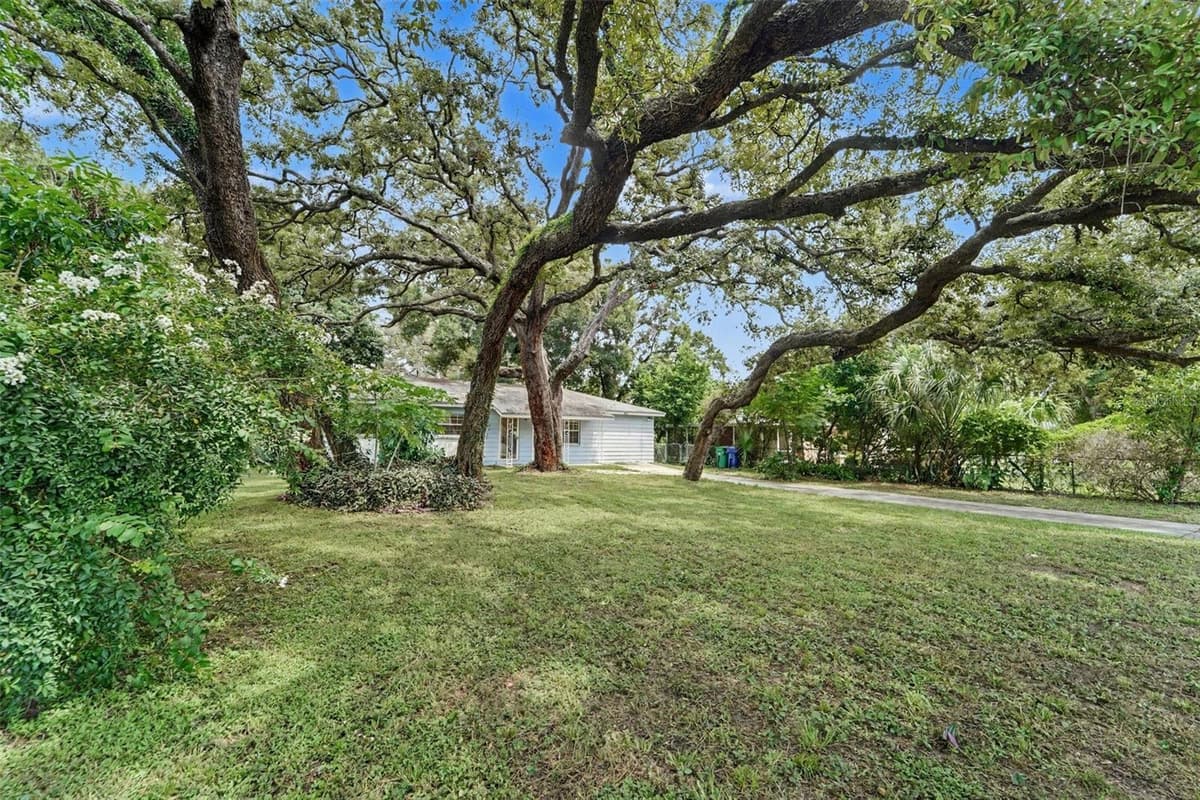 8121 OLA AVENUE — photo 4 of 31