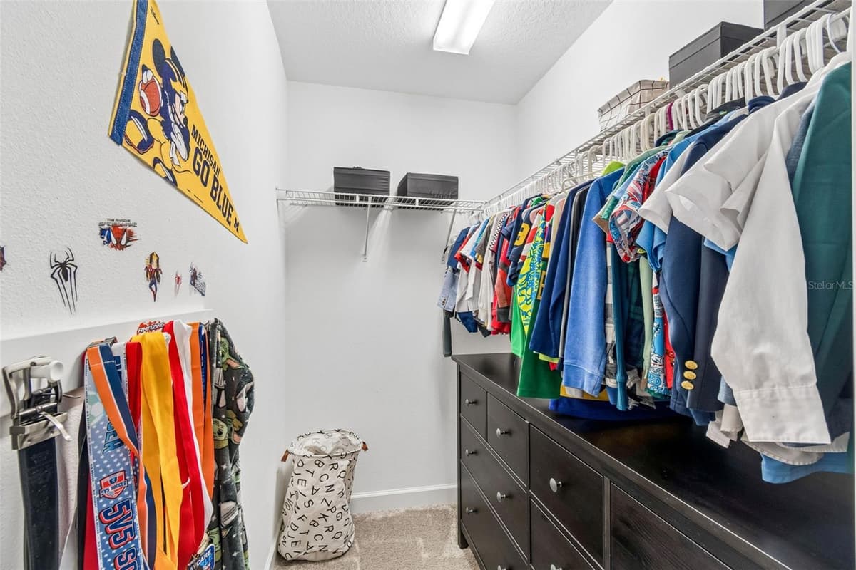 13310 WILDFLOWER MEADOW DRIVE — photo 50 of 89