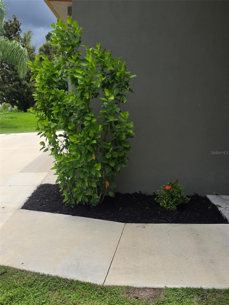 5223 BALMOR TERRACE — photo 6 of 50