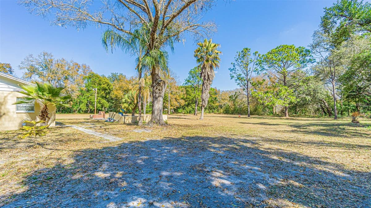 3902 AUTUMN PALM DRIVE — photo 3 of 37