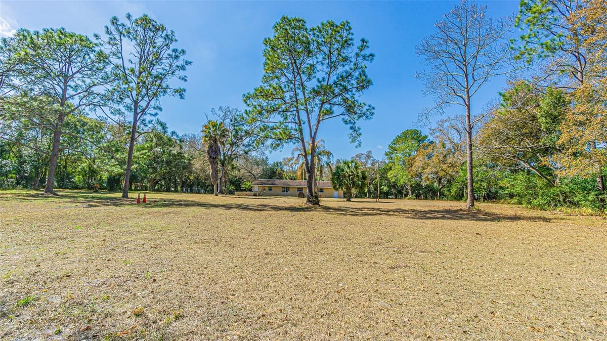 3902 AUTUMN PALM DRIVE — photo 7 of 37