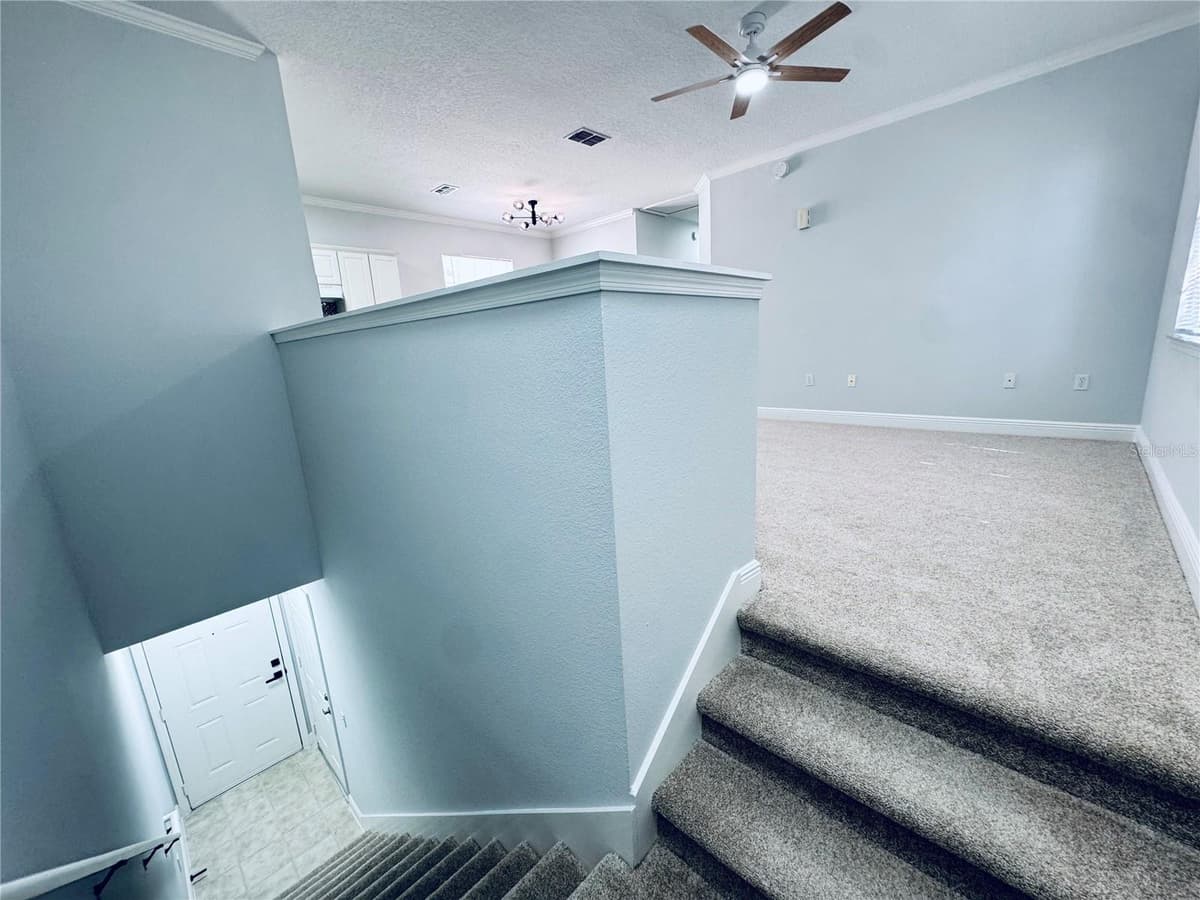 233 SOUTHERN PECAN CIRCLE — photo 8 of 42