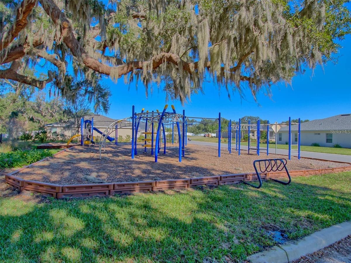10369 SILVER MAPLE AVENUE — photo 45 of 46