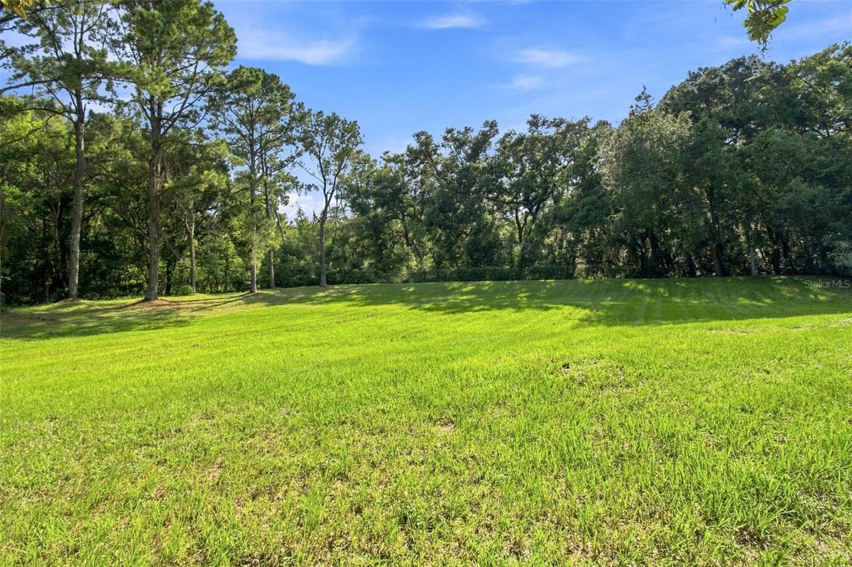 7233 WOODBROOK DRIVE — photo 47 of 57