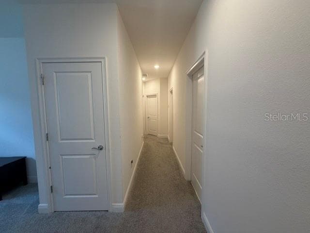 3854 KNOTTY PINE STREET — photo 17 of 30
