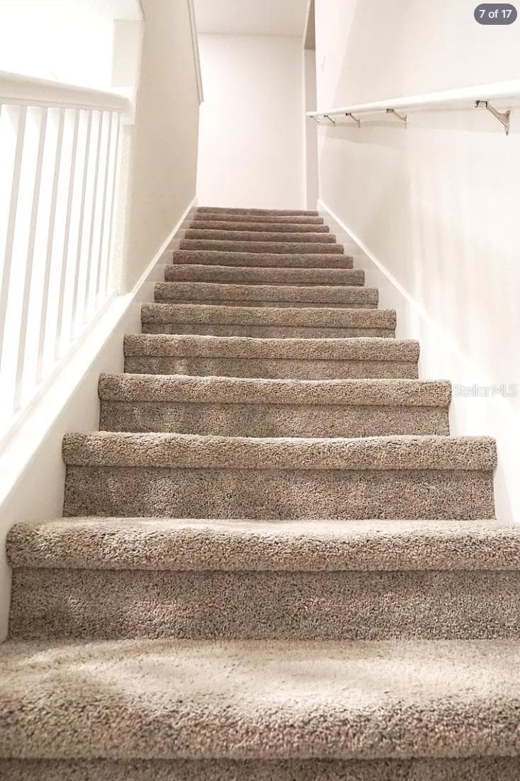 6834 CITRUS CREEK LANE — photo 8 of 18