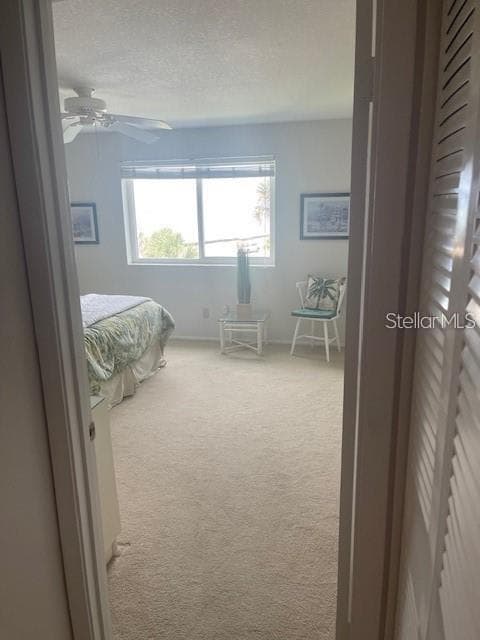 3510 OCEAN SHORE BOULEVARD — photo 19 of 21