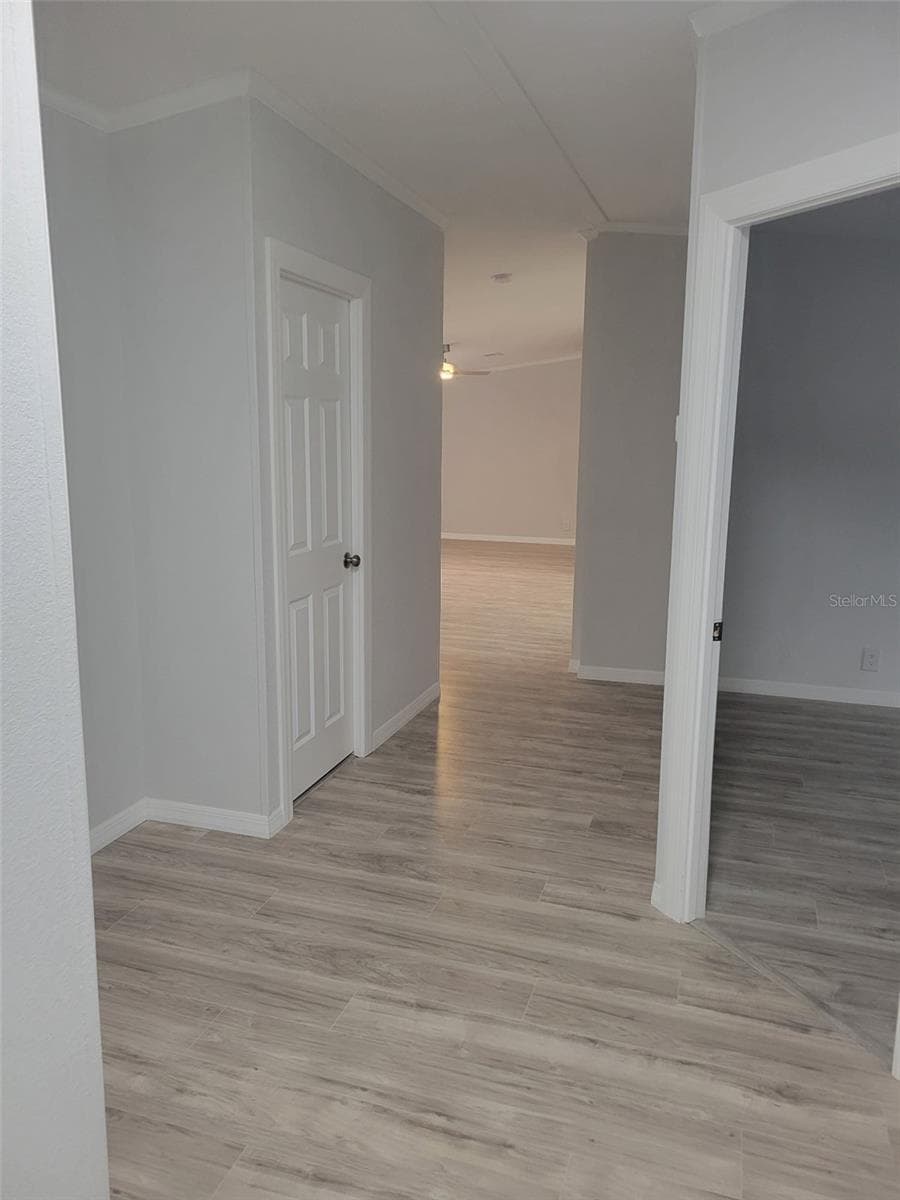 7597 BRUTUS AVENUE — photo 40 of 82