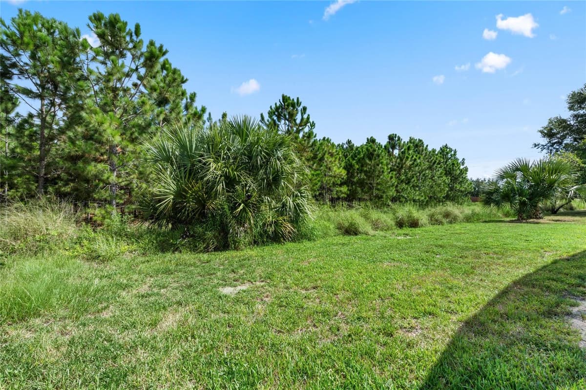 2631 AUTUMN CREEK CIRCLE — photo 67 of 78