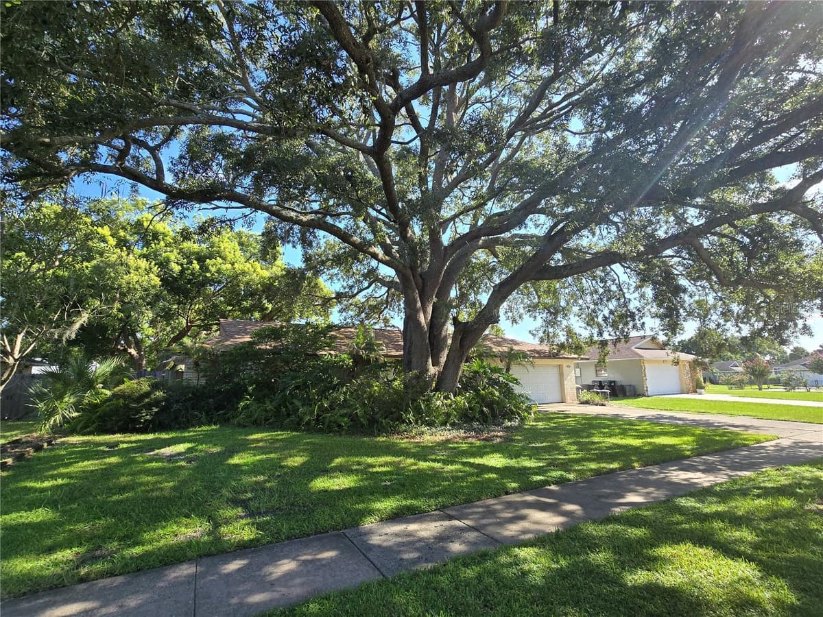 8431 PAMLICO STREET — photo 14 of 14