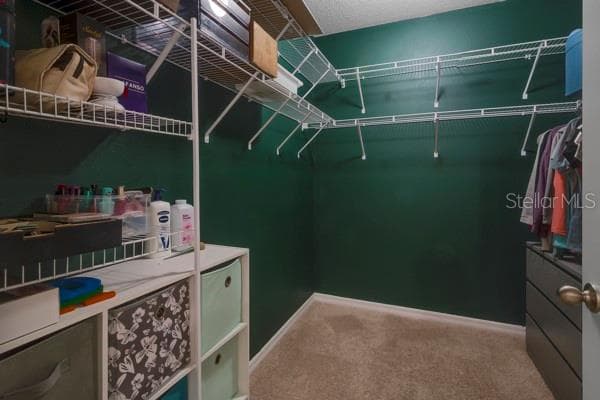 10213 GOLDEN LIGHT COURT — photo 17 of 32