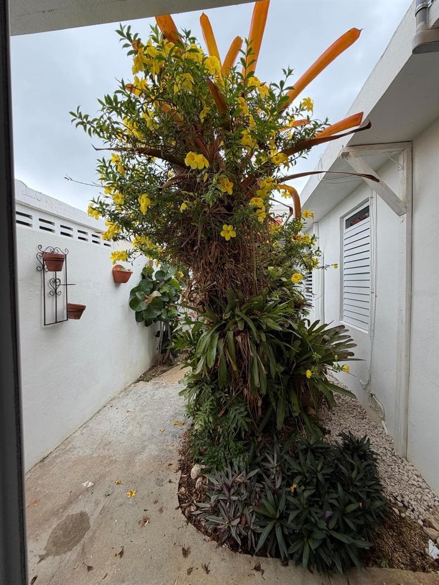 163 CALLE 7 — photo 36 of 36