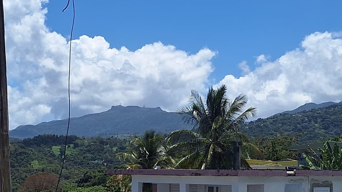 263 Calle 24 ALTURAS DE CAMPO RICO — photo 10 of 10
