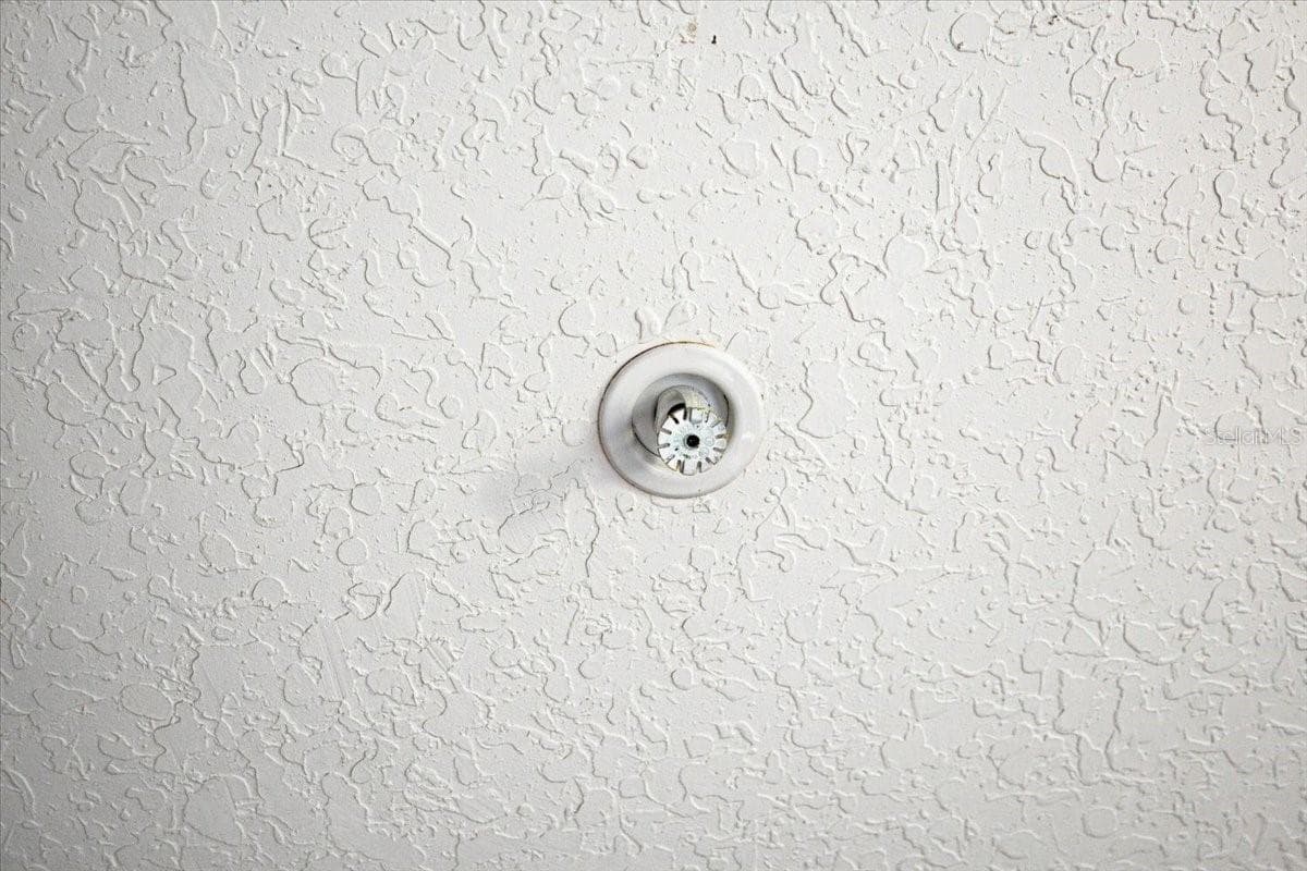 Unknown — photo 16 of 30